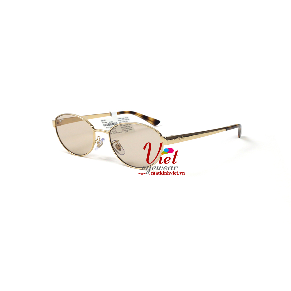 Kính mát RayBan RB3774D 001/3